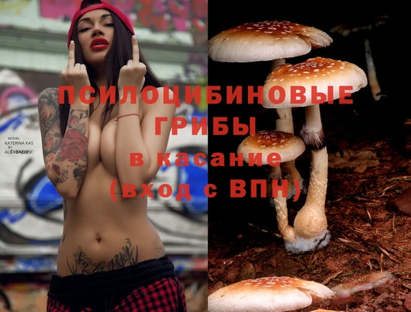 не бодяженный Балахна