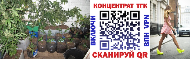 ТГК концентрат  МЕГА как зайти  Бабушкин 